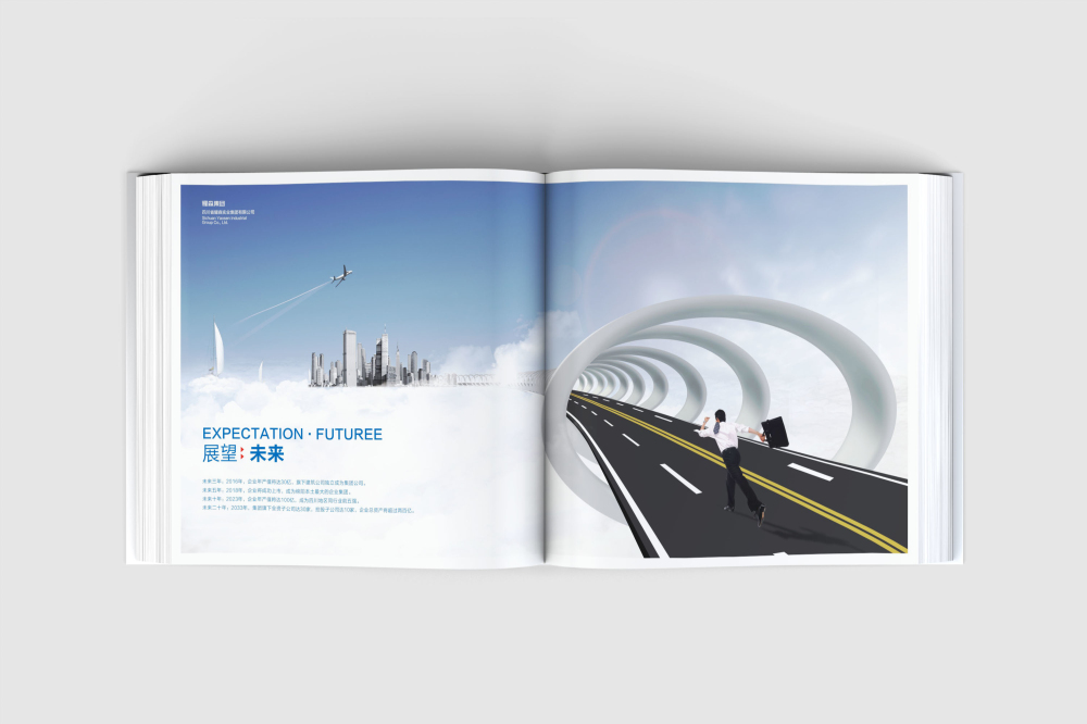 金川县画册设计